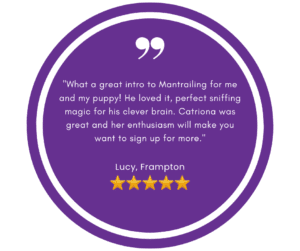 5 star review about Mantrailing introduction with a pawsitive step